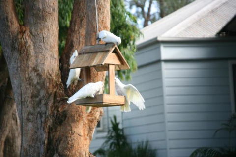 Huskisson Holiday Motel Cabins - Darwin Tourism 29