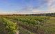Ironstone Estate Lovedale - thumb 31