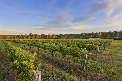 Ironstone Estate Lovedale - Darwin Tourism 31