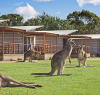 Discovery Parks  Pambula Beach - Darwin Tourism