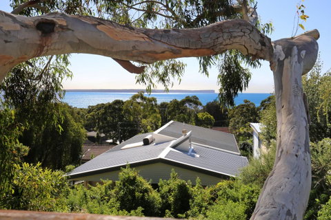 Seaglass - Stunning Views Of Jervis Bay - Darwin Tourism 26