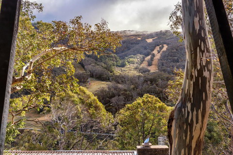 Pure Chalet Thredbo - Darwin Tourism 35