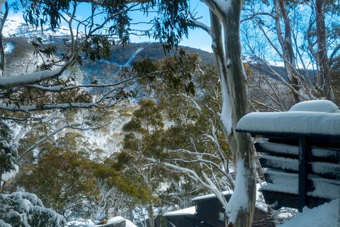 Pure Chalet Thredbo - Darwin Tourism 30