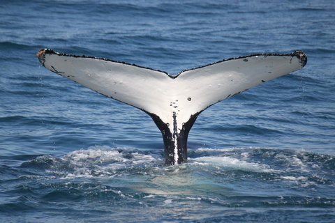 Ingenia Holidays Eden Beachfront - Darwin Tourism 37