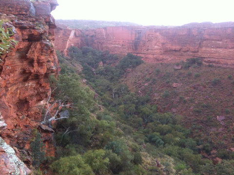 Discovery Resorts - Kings Canyon - Darwin Tourism 34