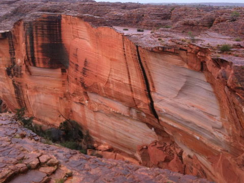 Discovery Resorts - Kings Canyon - Darwin Tourism 36