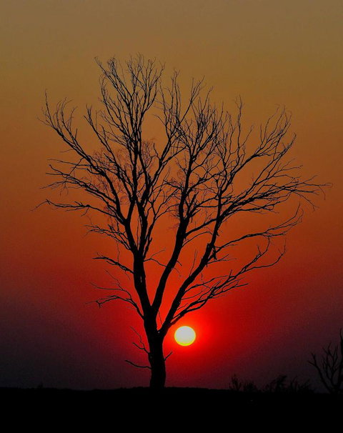 Discovery Resorts - Kings Canyon - Darwin Tourism 43