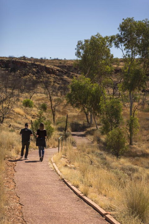 Discovery Resorts - Kings Canyon - Darwin Tourism 16