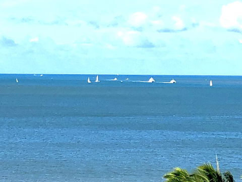 Cairns Apartment Esplanade Ocean Views - Darwin Tourism 2