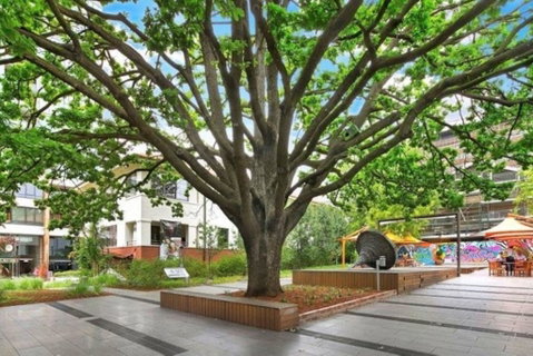 Canberra Luxury Apartment 8 - Darwin Tourism 1