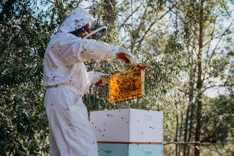 Capers Guesthouse, Barn And Cottage - Darwin Tourism 2