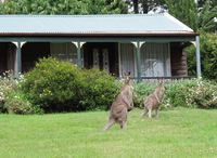 Book Mount Victoria Accommodation Vacations Darwin Tourism Darwin Tourism