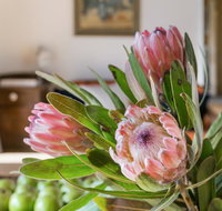 Cooee Cottage - Darwin Tourism