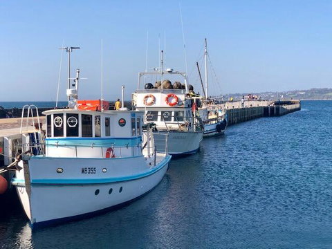 Cote D'Azur - Darwin Tourism 1