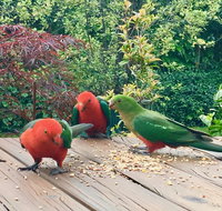 Crimson Villa - Darwin Tourism