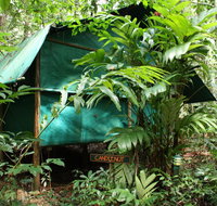 Daintree Crocodylus - Darwin Tourism