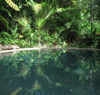 Daintree Rainforest Retreat Motel - Darwin Tourism