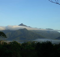 Epiphyte B  B - Darwin Tourism