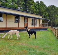 Farm Stay Lowana Strahan - Darwin Tourism