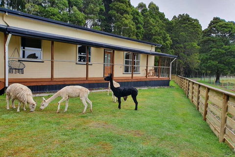 Farm Stay Lowana, Strahan - Darwin Tourism 0