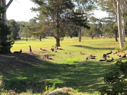 Golf View Motel - Darwin Tourism 1