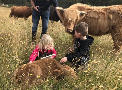 Highland Getaway - Darwin Tourism 3