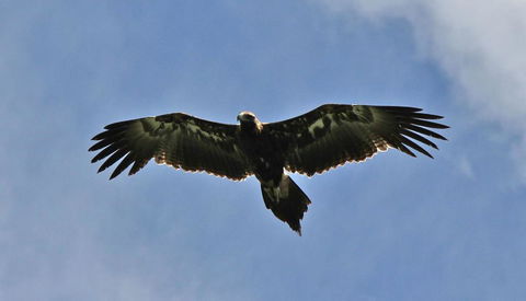 Highwood Park B&B Guest Lodge - Darwin Tourism 3