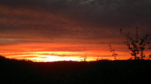 Highwood Park B&B Guest Lodge - Darwin Tourism 2