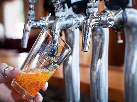 Holgate Brewhouse - Darwin Tourism 0