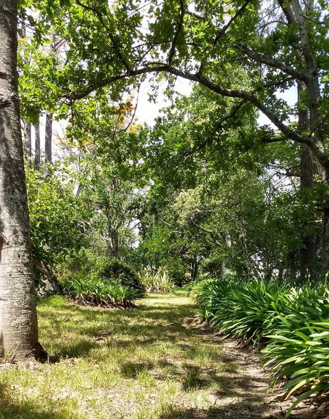 Hollyhill Cottage - Darwin Tourism 3