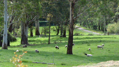JAN'S ART STUDIO AT ASHBY RISE - Darwin Tourism 0
