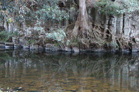 Kaalba - Darwin Tourism 1