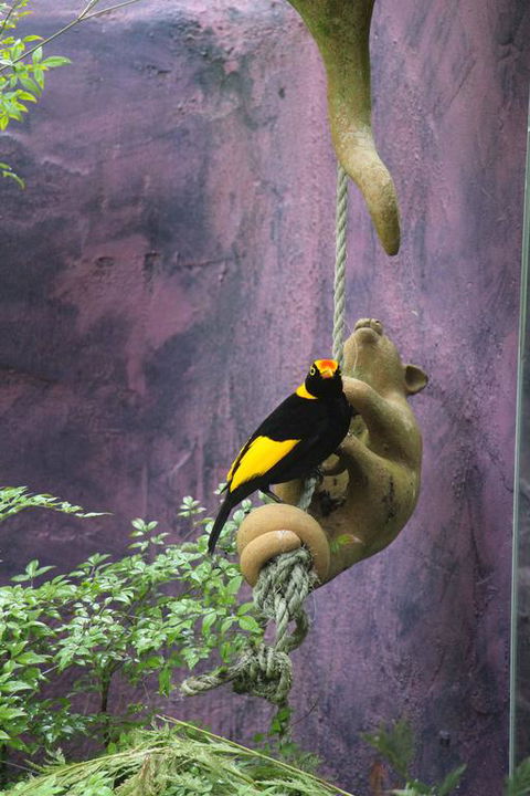 Kaalba - Darwin Tourism 3