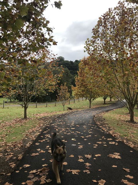King Ludwigs Cottage - Darwin Tourism 1