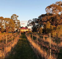 Lillicur Vineyard BB - Darwin Tourism