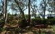 Lilys By The Lake - Raymond Island Accommodation - thumb 2