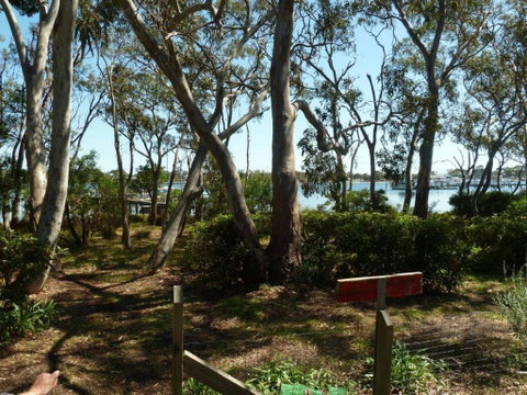 Lilys By The Lake - Raymond Island Accommodation - Darwin Tourism 2