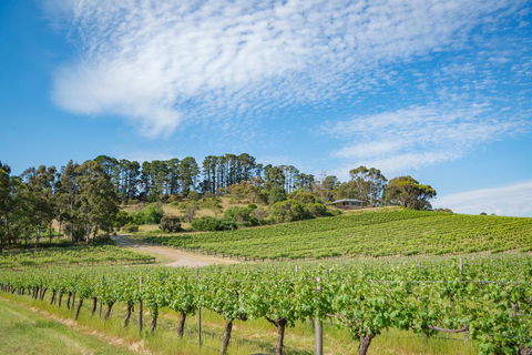 McLaren Vale Getaways - Darwin Tourism 0