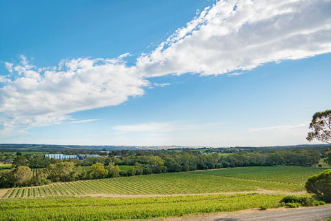 McLaren Vale Getaways - Darwin Tourism 1