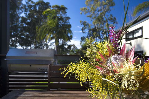 Mollymook Caravan Park - Darwin Tourism 2