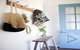 MOOMBA RETREAT - MORNINGTON - thumb 2