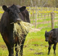 Naimanya Cottage - Darwin Tourism