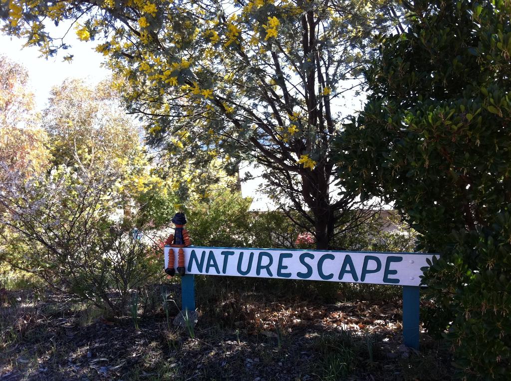 Pilot Wilderness NSW Darwin Tourism