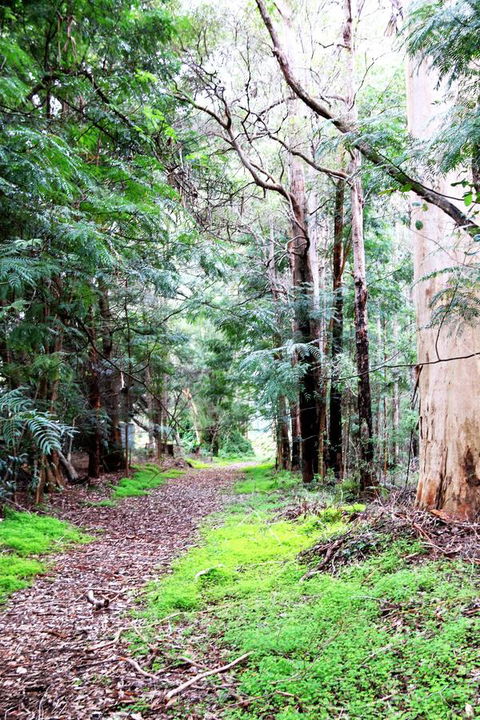 Treenbrook Cottages - Darwin Tourism 12