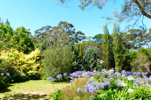 Innisfree Mountain Retreat - Darwin Tourism 1