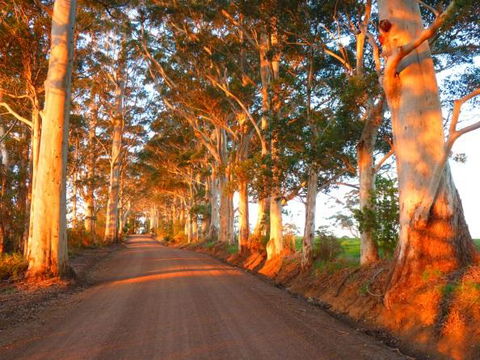 Innisfree Mountain Retreat - Darwin Tourism 10