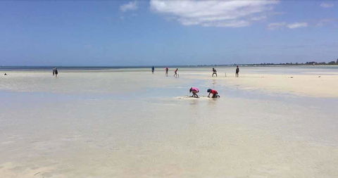 Beach House Dunsborough - Darwin Tourism 22