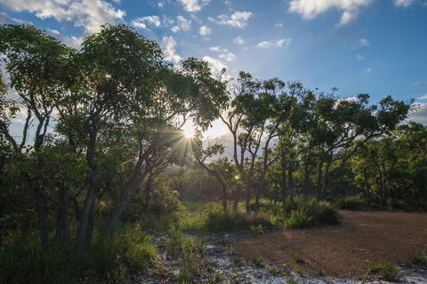 Cape Howe Cottages - Darwin Tourism 1