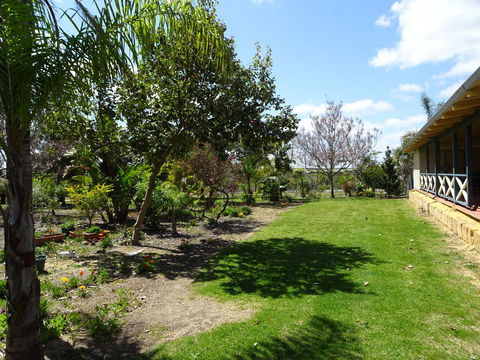 Majestichomestead B&B - Darwin Tourism 25
