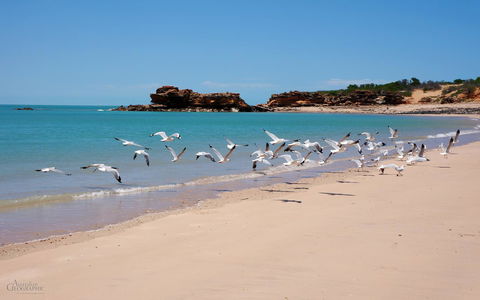 Apartments At Blue Seas Resort - Darwin Tourism 25